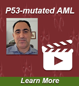 What is the best approach to the therapy of patients with P53-mutated AML?