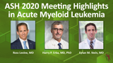ASH 2020 Meeting Highlights in Acute Myeloid Leukemia  